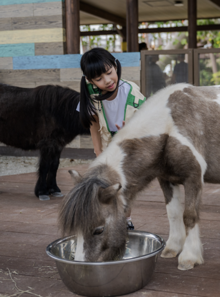 Singapore ZOo With Kids
