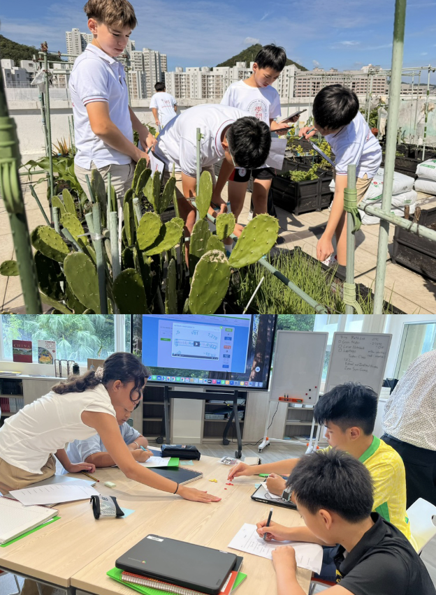 Cactus IMS Hong Kong