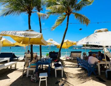 Why Families Love Coastes Family Beach Days In Sentosa? 2026 Update