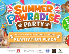 Pawty Plantation Plaza Singapore