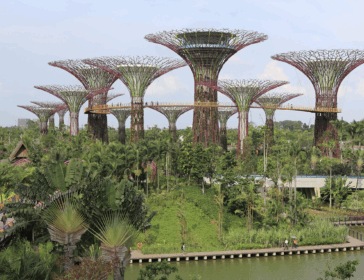 Image of Gardens By The Bay - a guide for kids and families