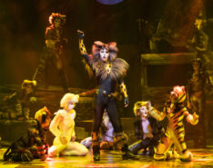CATS Returns To Hong Kong: A Must-See Musical This Summer!