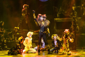 CATS Returns To Hong Kong: A Must-See Musical This Summer!