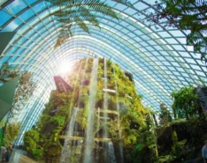 Image of Gardens By The Bay