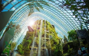 Image of Gardens By The Bay