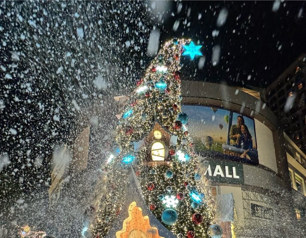 Tanglin Mall Snow 2025 Singapore