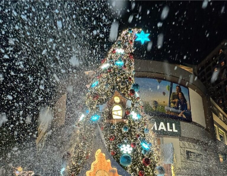 Tanglin Mall Snow 2025 Singapore