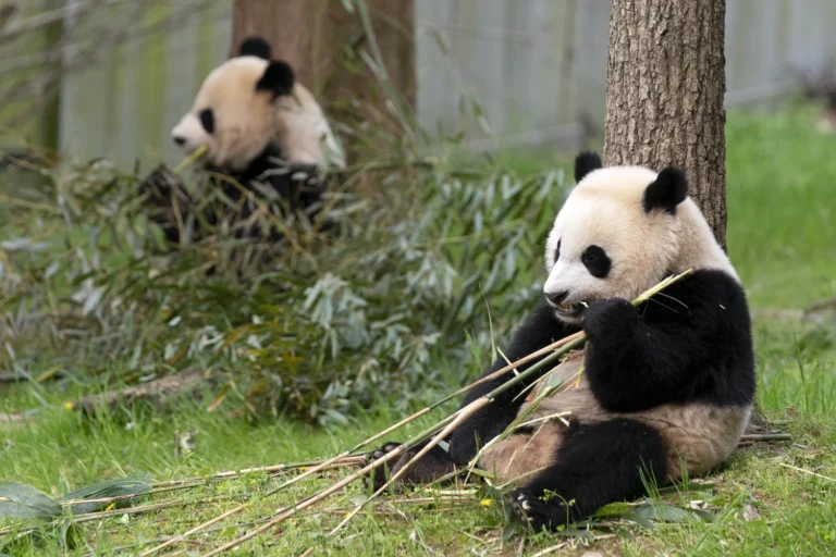China Easter Holidays With Kids Little Steps Asia