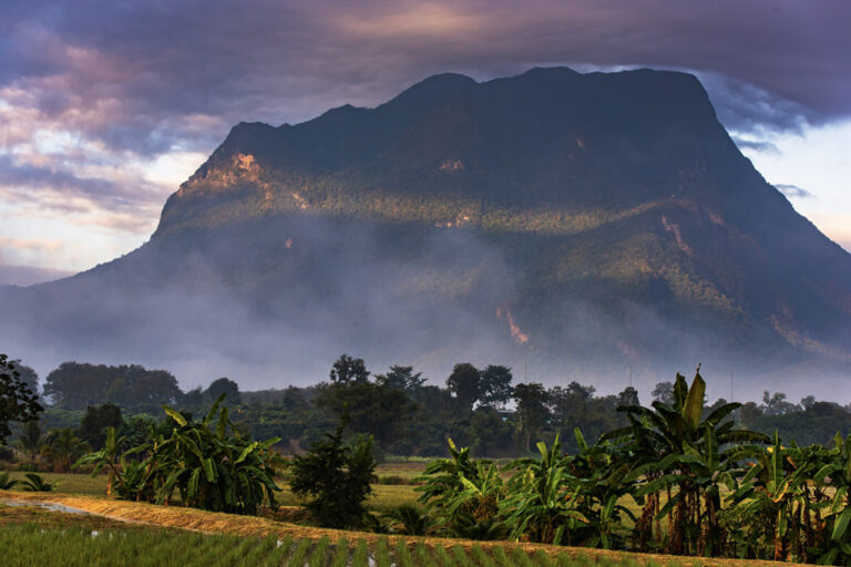 Chiang Mai And Chiang Dao, Thailand Easter Holidays With Kids Little Steps Asia