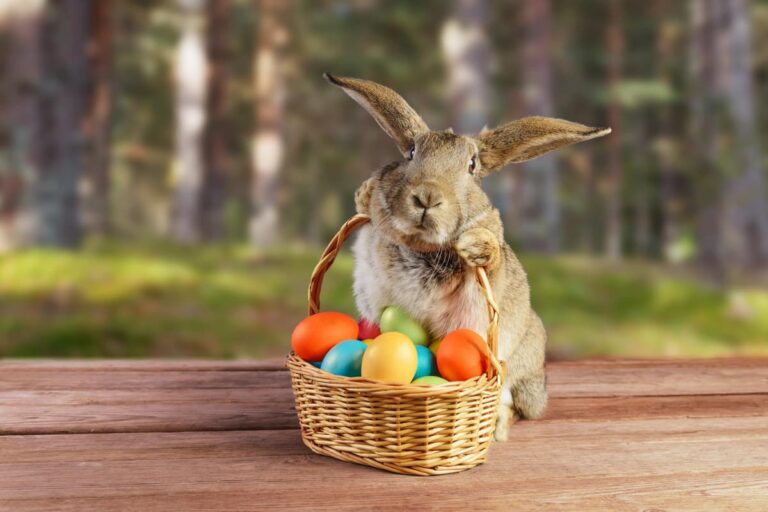 Useful Advice For Easter Holidays With Kids Maldives Easter Holidays With Kids Little Steps Asia