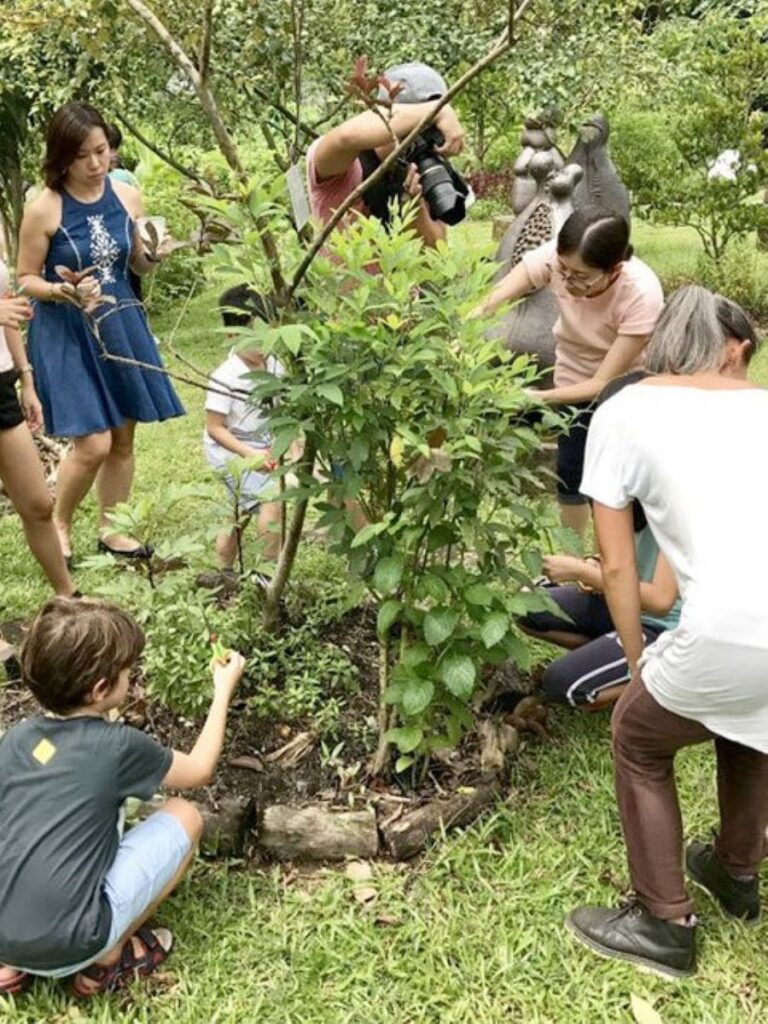 Top-Farms-In-Singapore-Open Farm Community