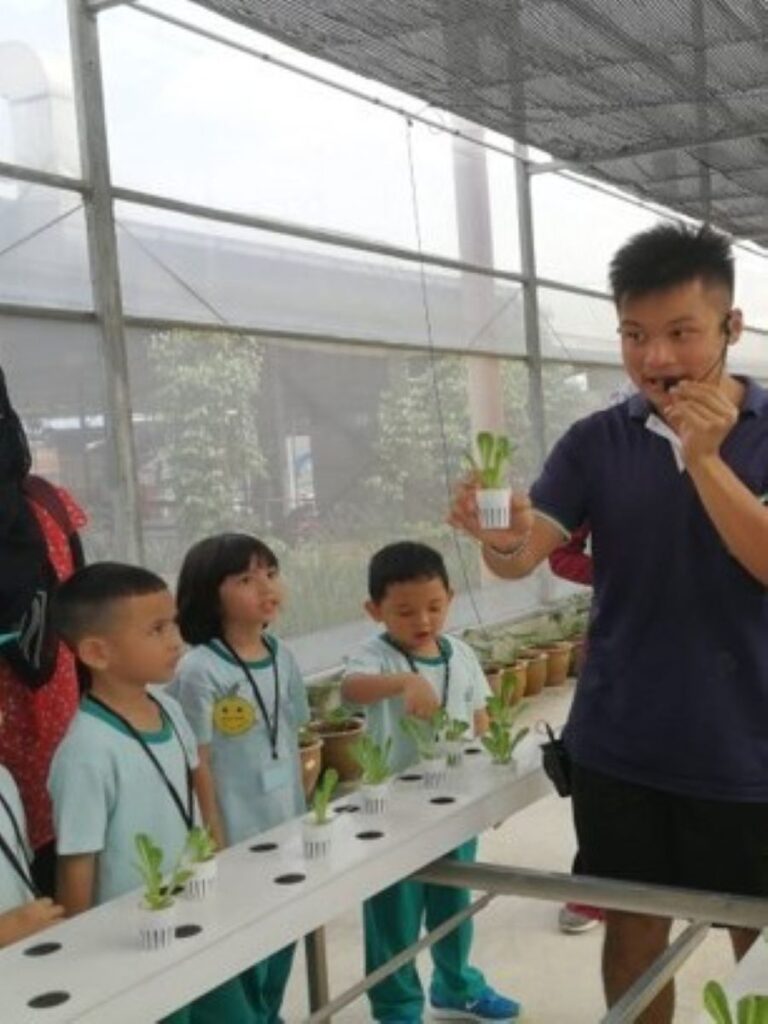 Top-Farms-ITop-Farms-In-Singapore-Kok Fah Technology Farmn-Singapore-Kok Fah Technology Farm