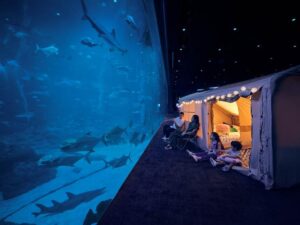 Ocean Dreams Singapore Oceanarium Resorts World Sentosa