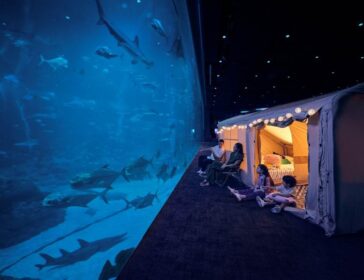 Ocean Dreams Singapore Oceanarium Resorts World Sentosa