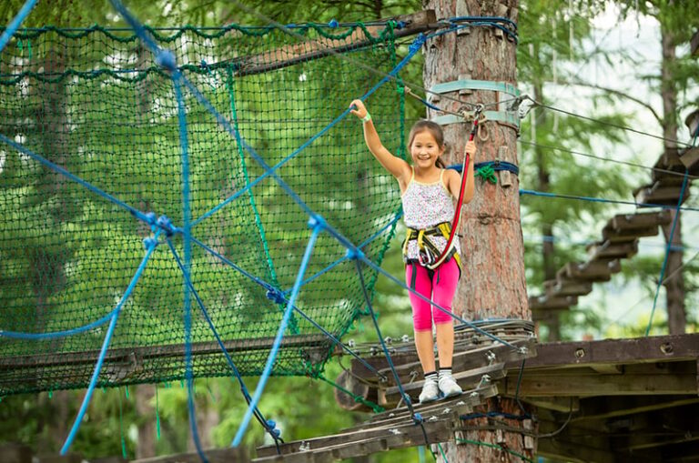 Tree Trekking And Zip-Lining In Niseko Summer Activities Your Kids Will Love In Niseko Little Steps Asia