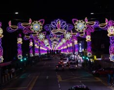 Image of Deepavali street light-up
