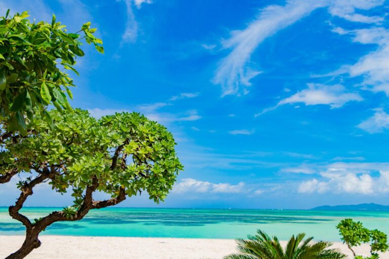 Okinawa 10 Easy Weekend Beach Getaways from Hong Kong Little Steps Asia