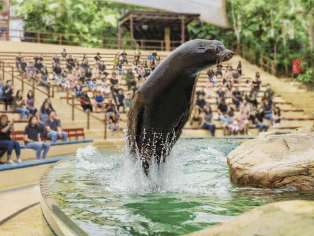 mandai wildlife reserve singapore zoo show for all the family little steps singapore
