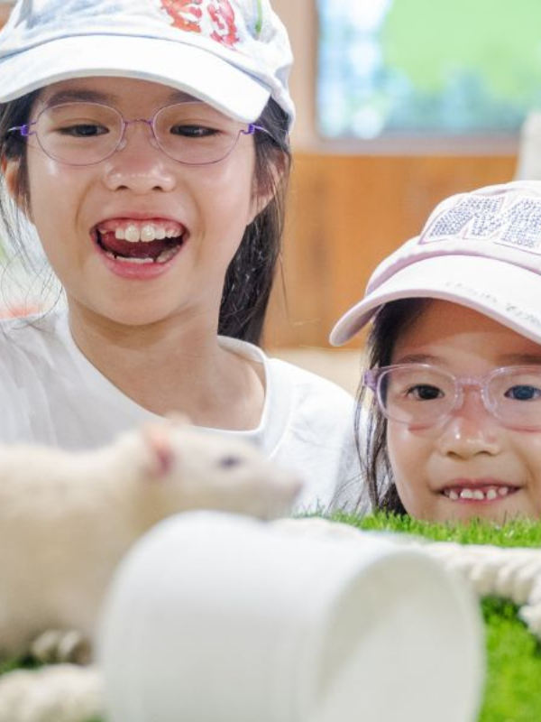 Little Paws area at Singapore Zoo, Little Steps Asia