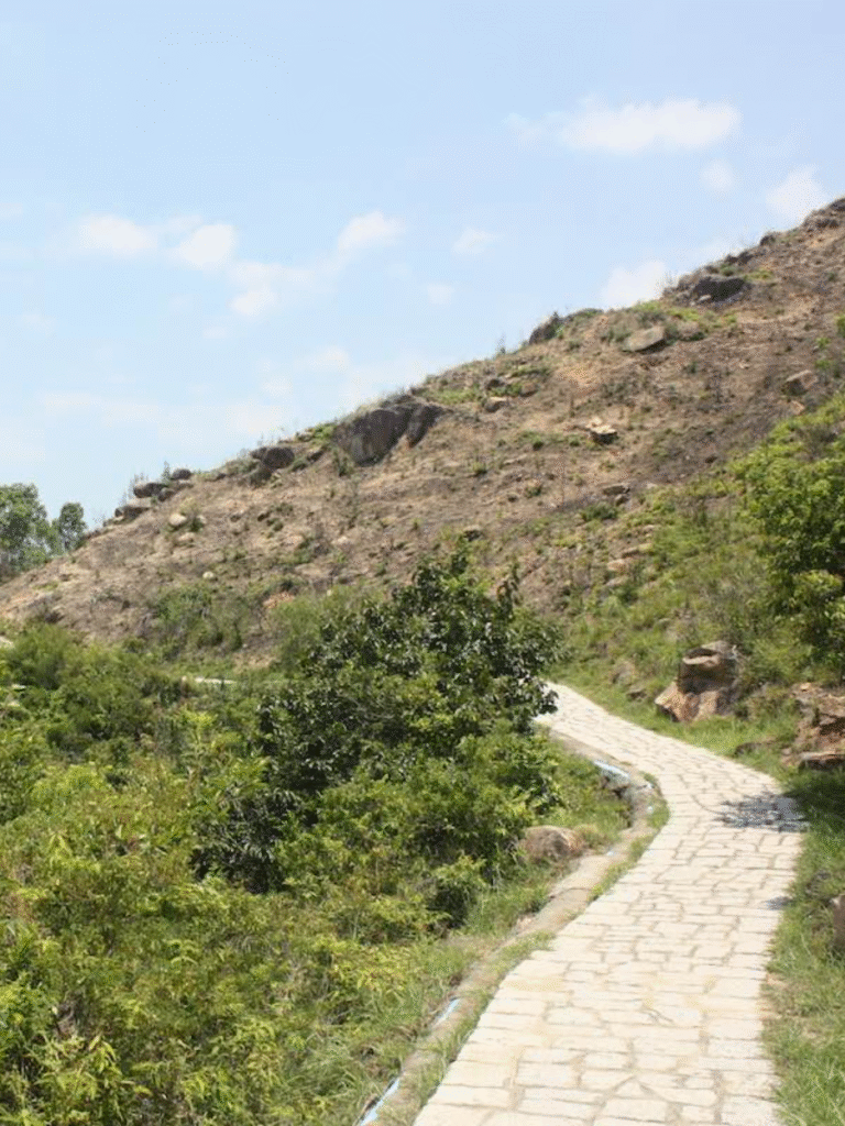 Lamma Family Trail HK