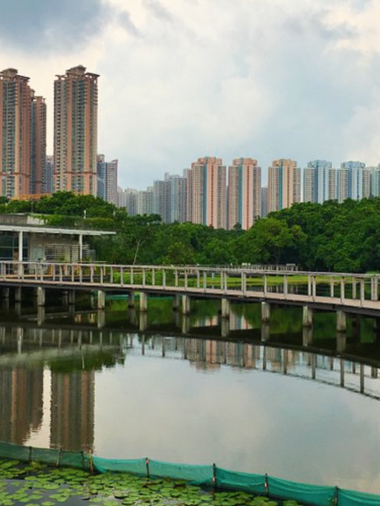 HK Wetland Park