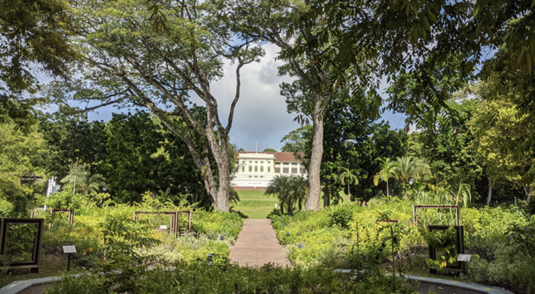 Image of Fort Canning Green Singapore
