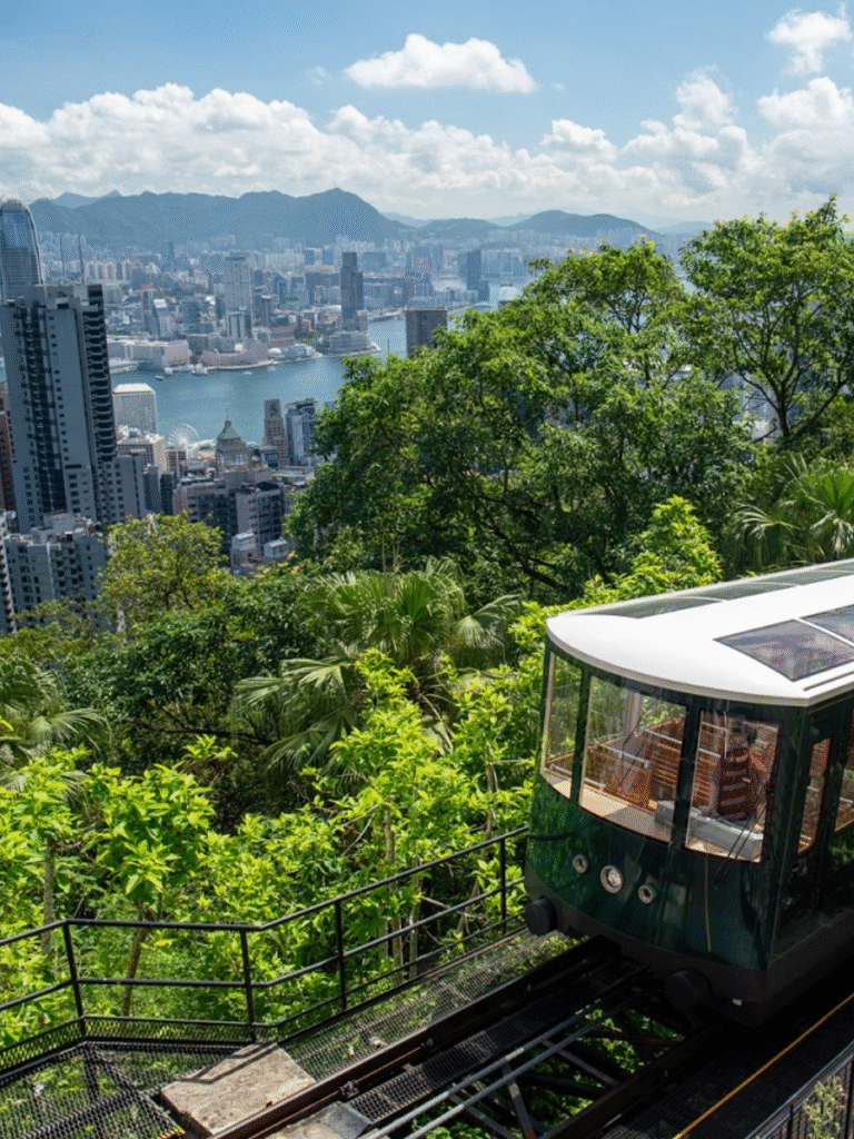 The Peak Attraction For Families HK