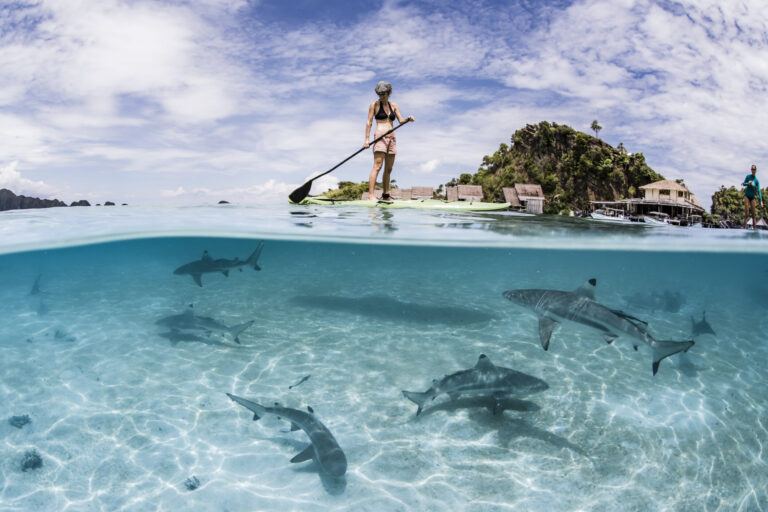 Misool The 25 Most Unique Family-Friendly Hotels In Asia To Visit Right Now Little Steps Asia