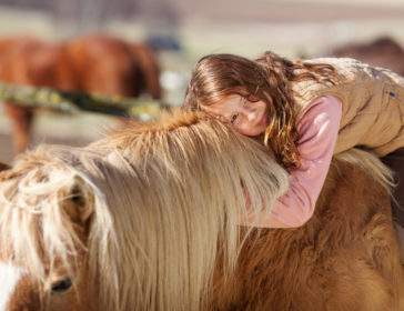 Guide To Horse Riding In Hong Kong – Lessons, Stables, Camps, Dressage For Kids