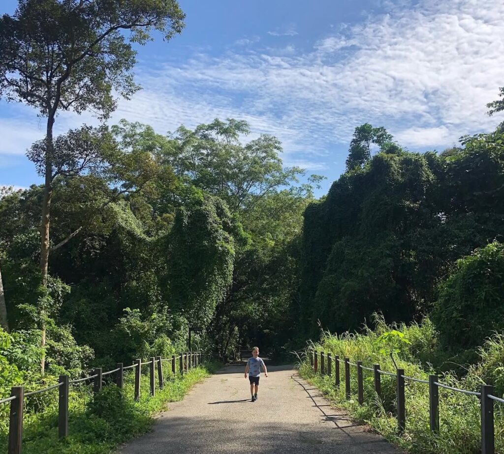 Best Family Hiking Trails With Kids Singapore