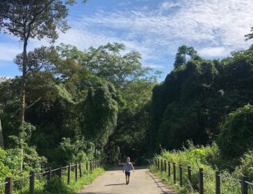 Best Family Hiking Trails With Kids Singapore