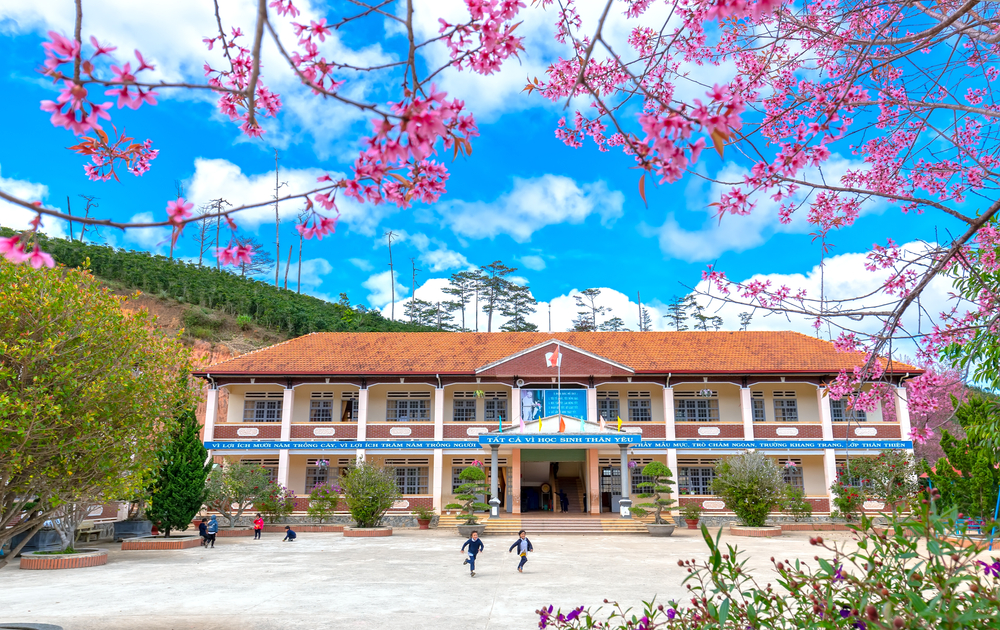 Top International Schools In Vietnam