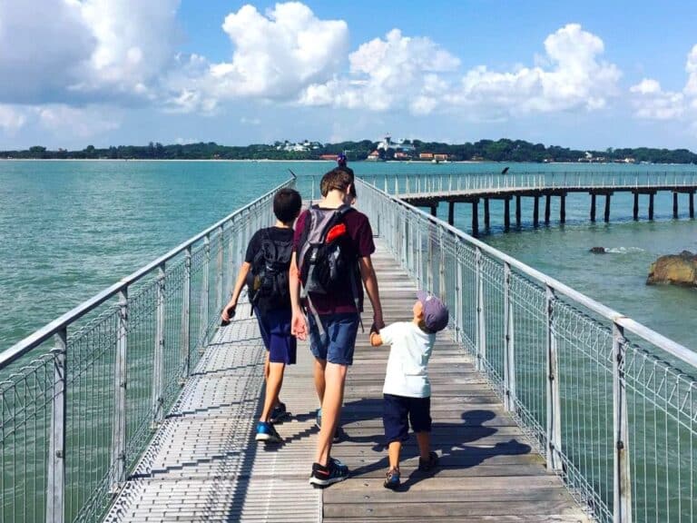 Top Educational Tours For Kids In Singapore