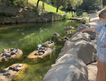 10 Things To Do With Kids At Hong Kong Park In Central