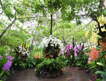 Singapore Garden Festival 2022 Returns At New Locations