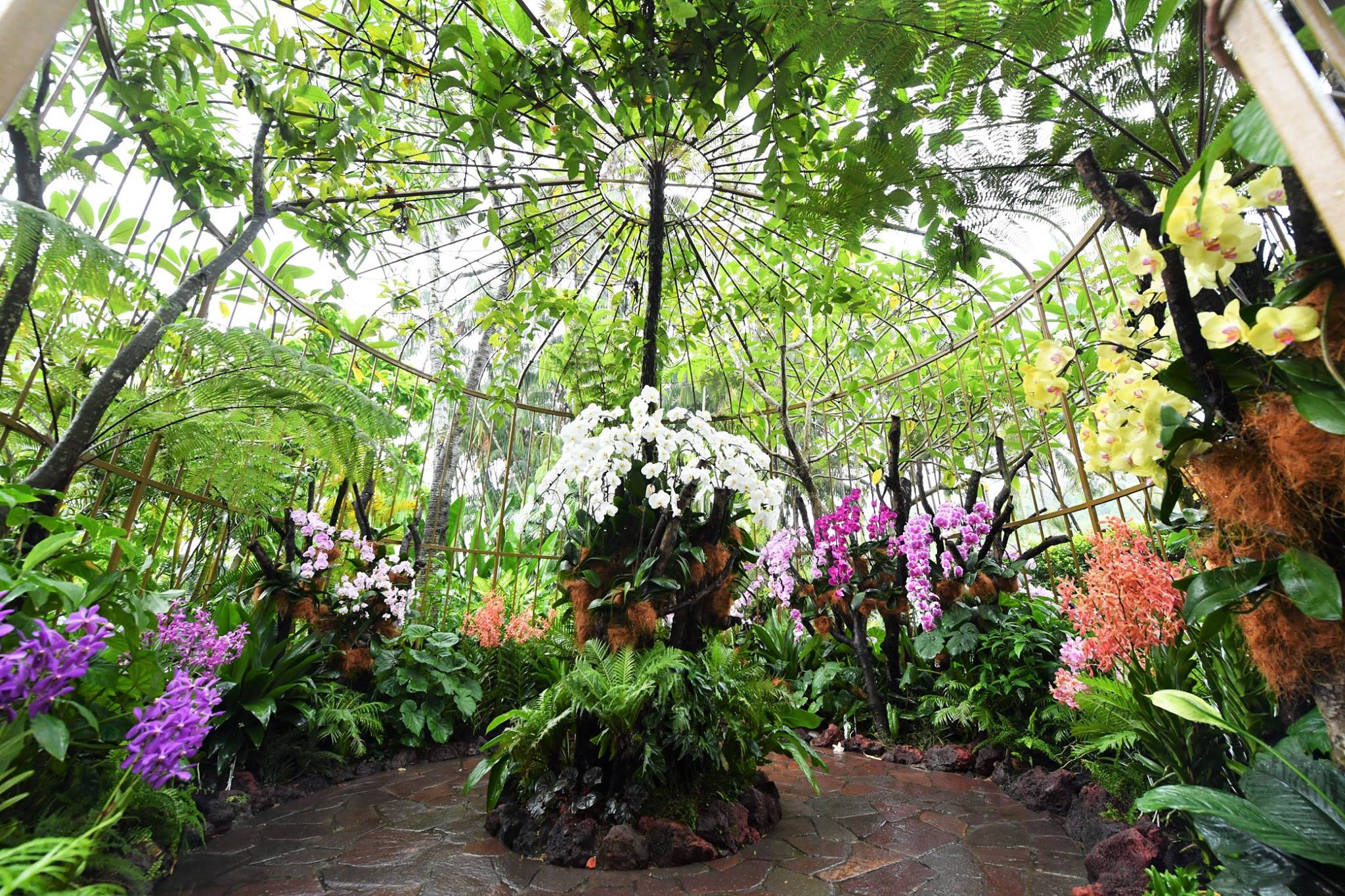 Singapore Garden Festival