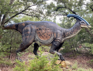 NEW!  Dinosaur Theme Park For Families Opening In Hong Kong!