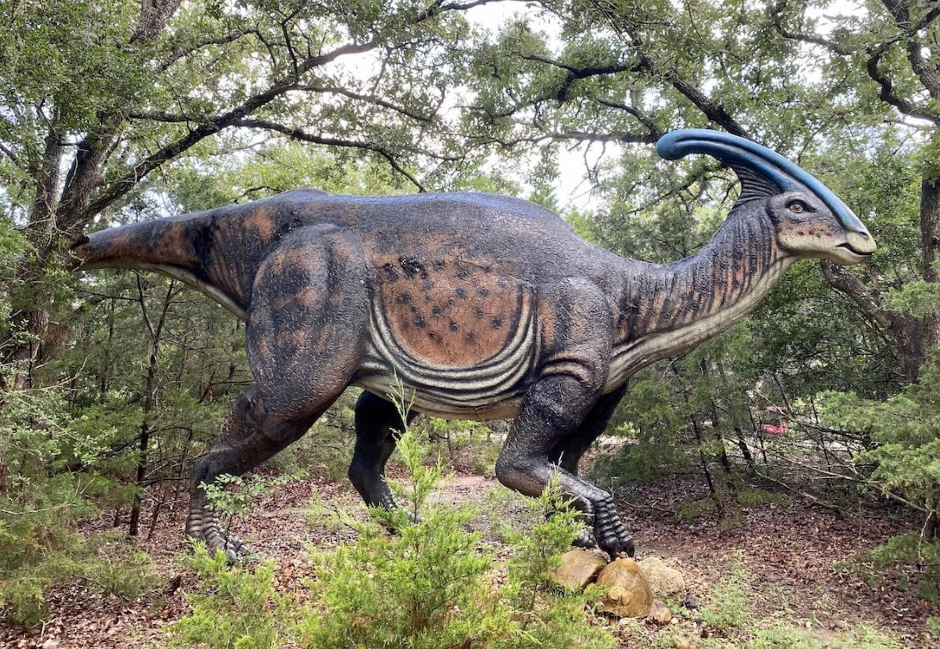 Dinosaur Theme Park In Hong Kong