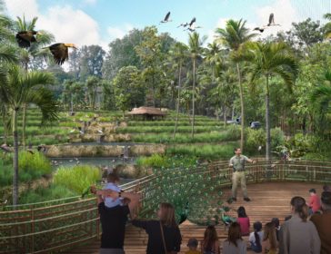 Bird Paradise – Singapore’s Newest Feathered Attraction At Mandai