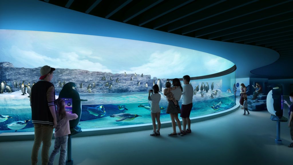 Artists' illustration of Penguin building. Image credit to Mandai Wildlife Group