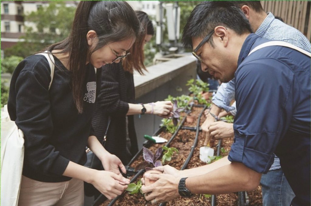 Garage Greens Event In Hong Kong
