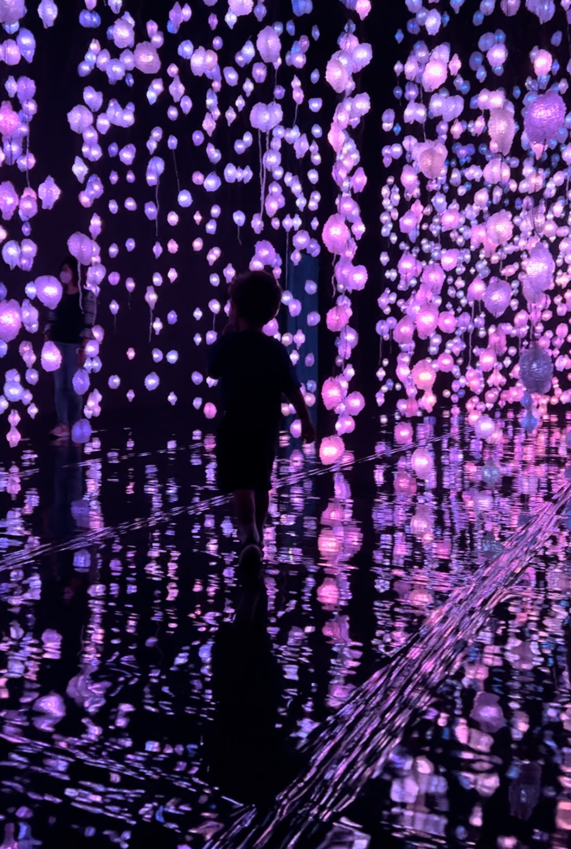 behind your eyelid exhibit tai kwun