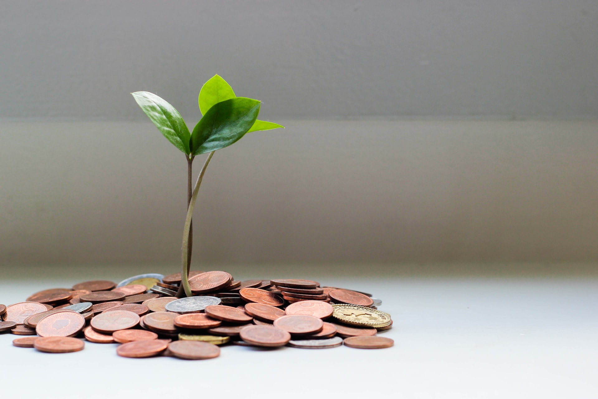 Financial Literacy Programs for Kids