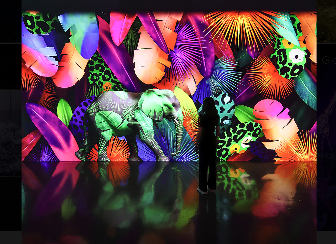ARTE M immersive art exhibition hong kong