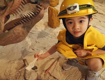Dinoland At SAFRA Yishun In Singapore