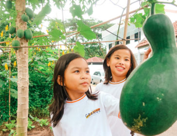 Green Initiatives With The Grange Institution