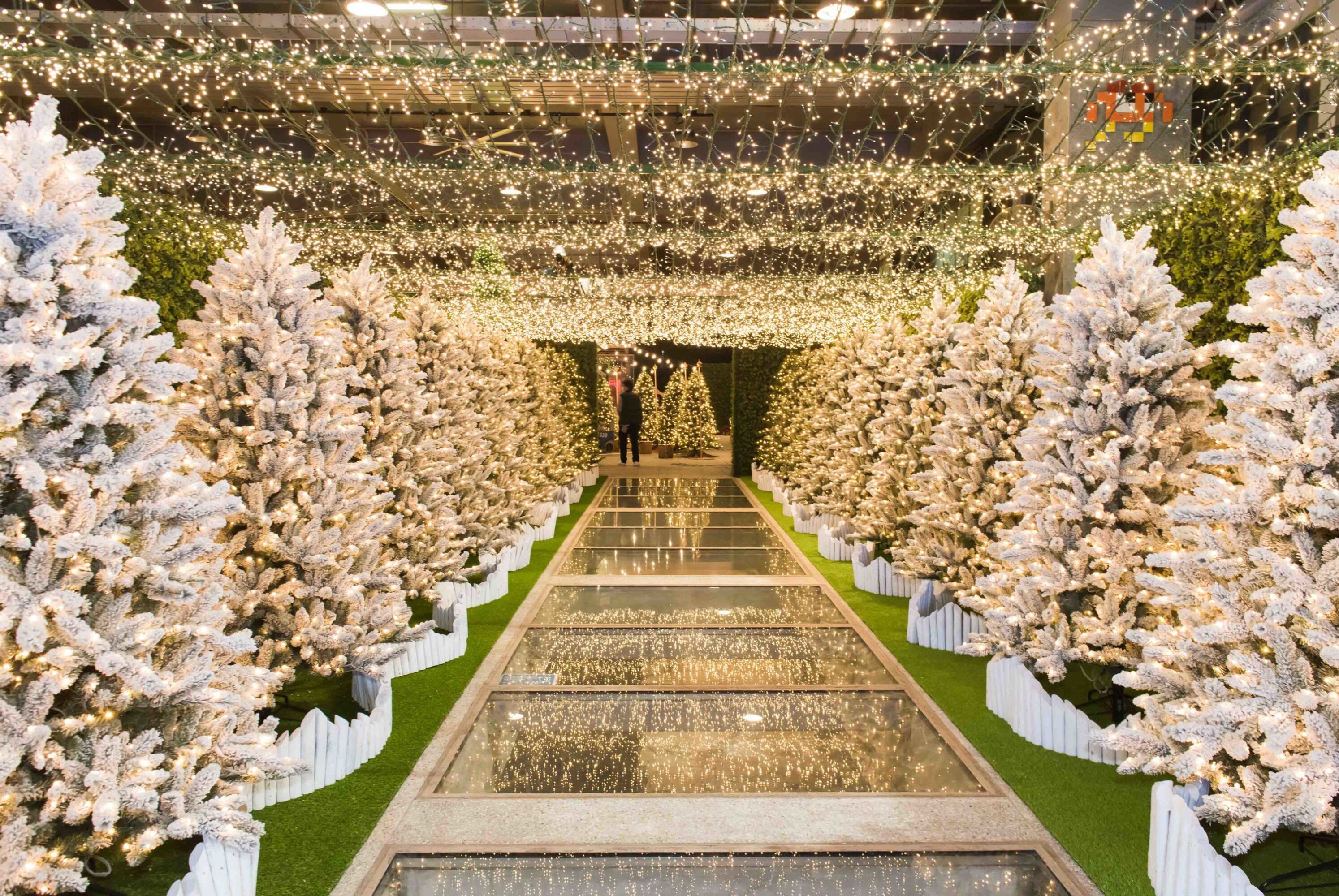 christmas wonderland at pmq