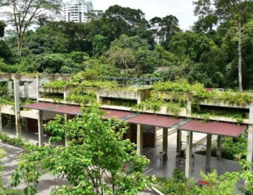 Explore Rifle Range Nature Park In Singapore