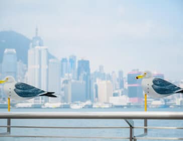 Seagulls By The Harbour Art Installation At Harbour City Hong Kong
