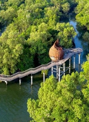 Free Weekend Activities For Kids in Singapore Sungei Buloh Wetland Reserve